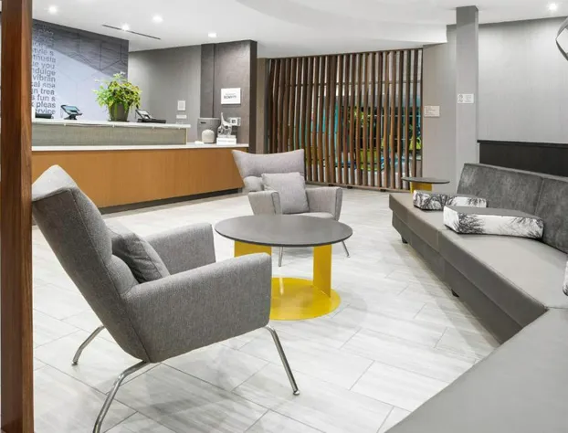 SpringHill Suites by Marriott Raleigh Apex hotel detail image 3