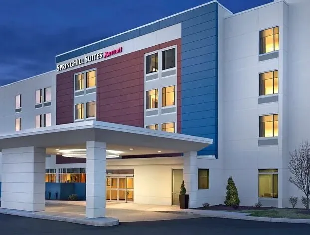 SpringHill Suites by Marriott Raleigh Apex hotel detail image 1