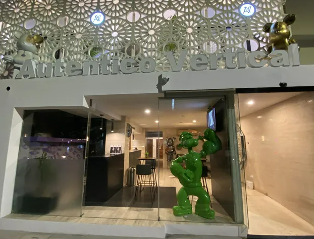 Auténtico Vertical Playa del Carmen hotel detail image 1