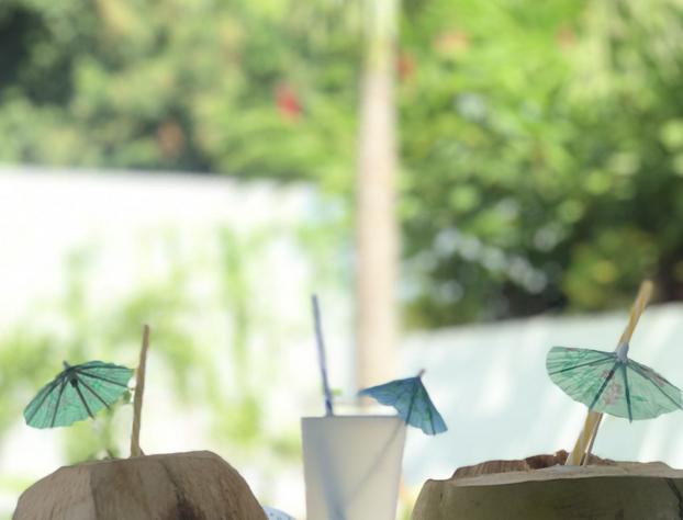 Alfa Resort Troncones hotel detail image 1