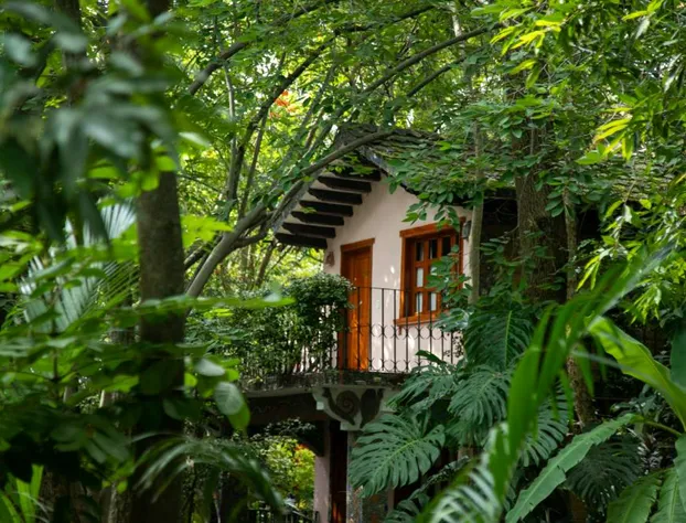 Hotel La Casa de los Árboles hotel detail image 3