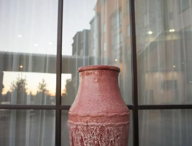 La Quinta Inn & Suites by Wyndham Lubbock Southwest hotel detail image 3