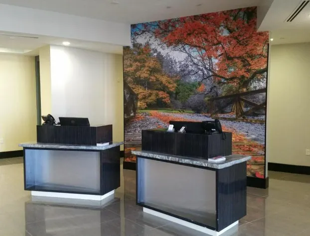 La Quinta Inn & Suites by Wyndham Lubbock Southwest hotel detail image 4