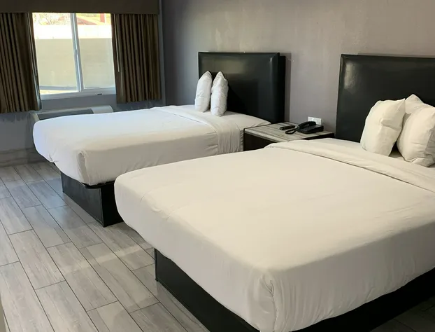 Willow Tree Inn & Suites hotel detail image 1