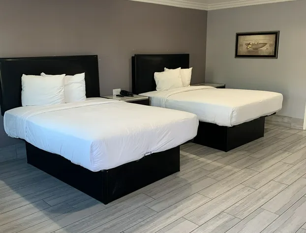 Willow Tree Inn & Suites hotel detail image 3