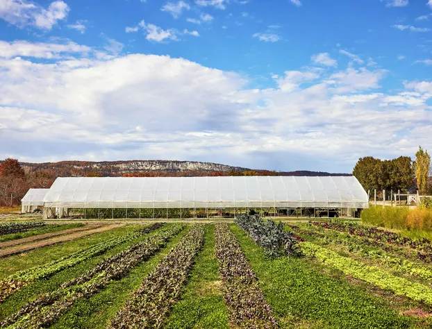 Wildflower Farms, Auberge Collection hotel detail image 2