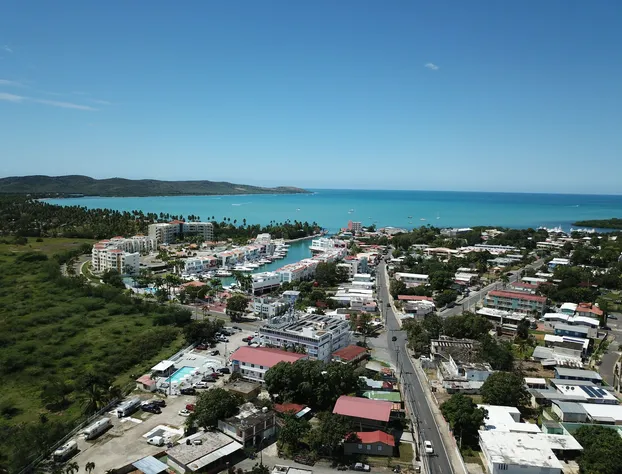 Boho Beach Club hotel detail image 4