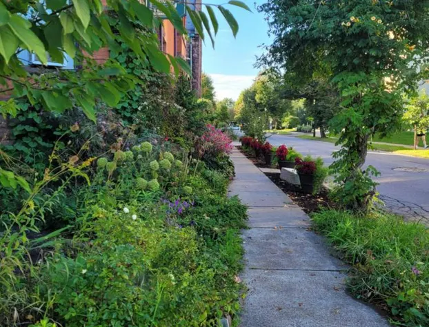 Buffalo Harmony House hotel detail image 1