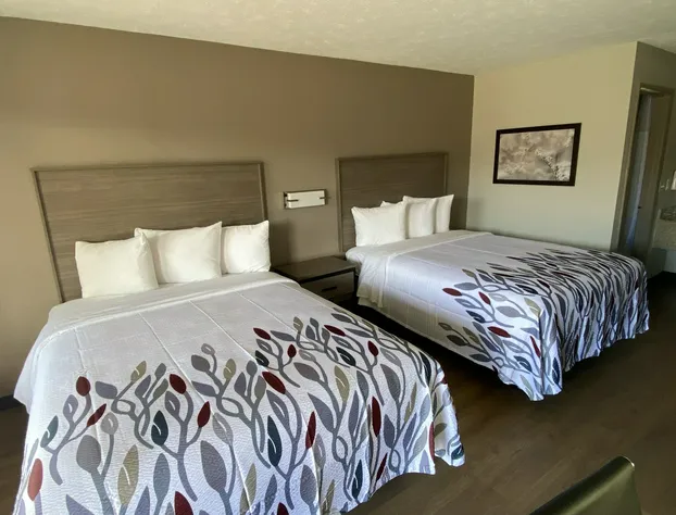 Red Roof Inn Jacksonville, AL hotel detail image 4