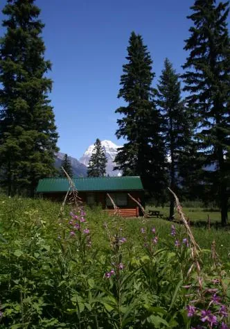 Mount Robson Lodge hotel detail image 3