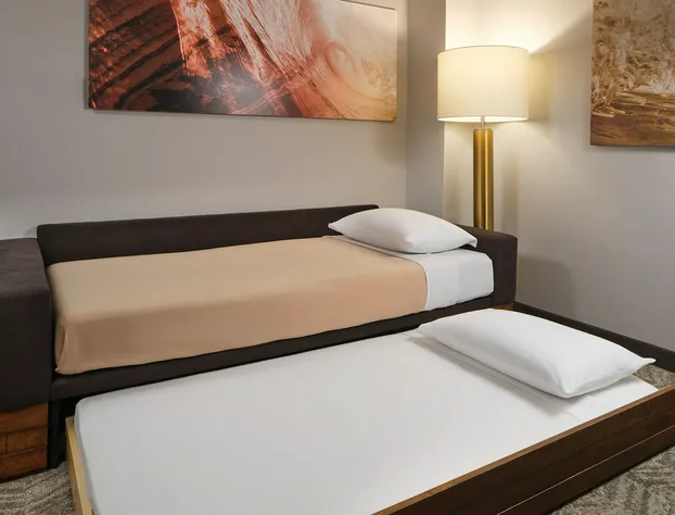 SpringHill Suites by Marriott Jacksonville Baymeadows hotel detail image 3