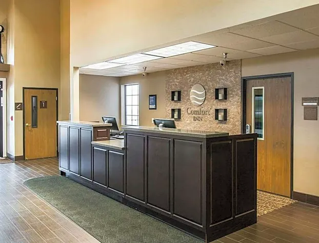 Comfort Inn Ludington near US-10 hotel detail image 4