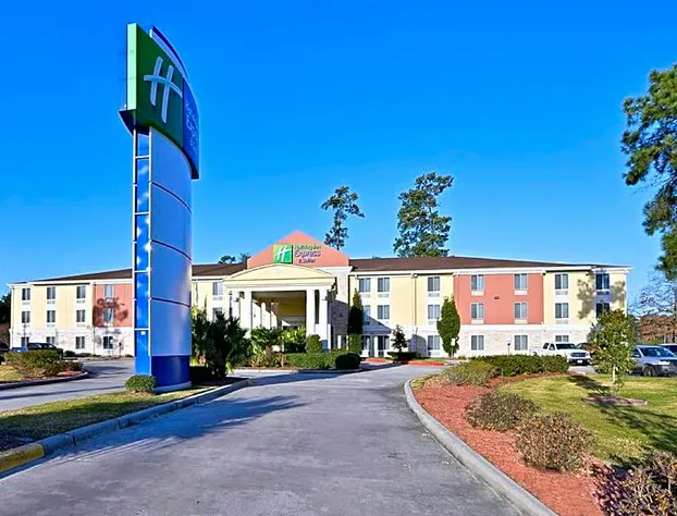 Holiday Inn Express and Suites Kingwood Medical Ce hotel detail image 1