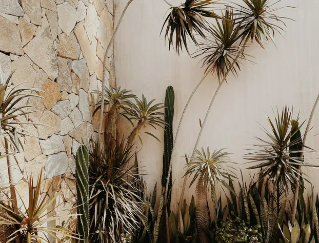 La Joya Sayulita hotel detail image 2