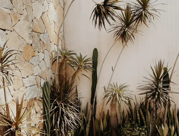 La Joya Sayulita hotel detail image 2