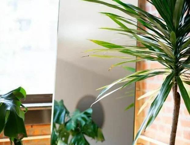 Jungle House Luxury Lofts – Short North High Street hotel detail image 2