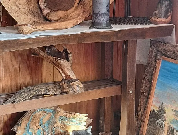 Comanche inn hotel detail image 3