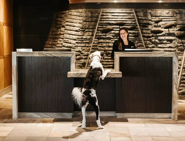 Fairmont Vancouver Airport - Gold Experience hotel detail image 3