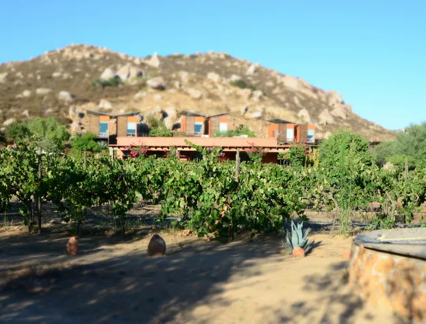 Valenza Hotel Boutique hotel detail image 1