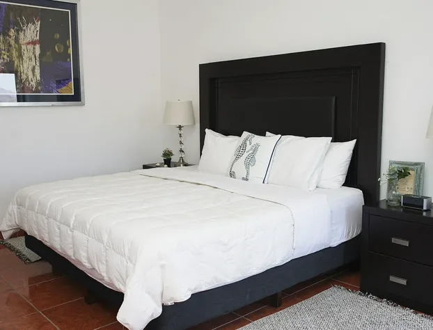 Hotel Boutique Casa Aduana hotel detail image 2