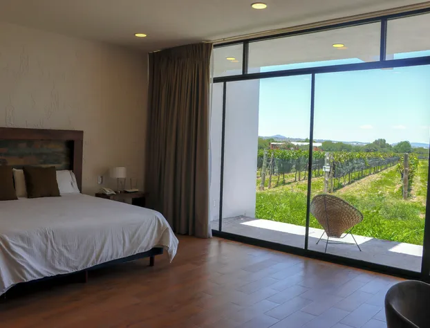 Hotel Boutique Casa Díamante Viñedos hotel detail image 2