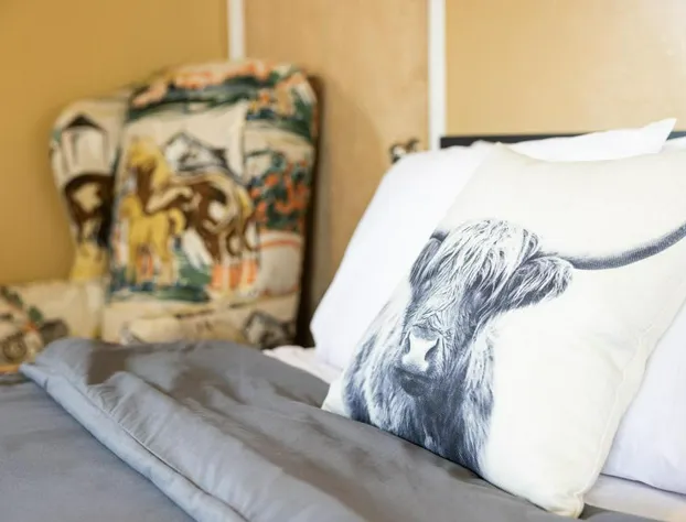 The Lodge at Poncha Springs hotel detail image 3