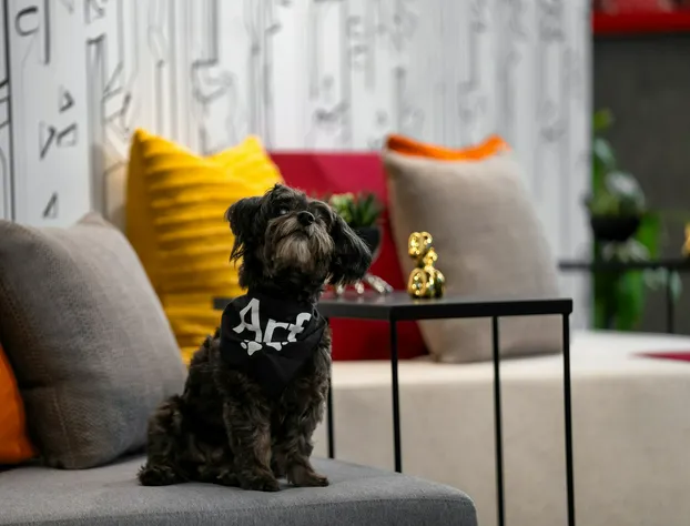 Aloft New York Chelsea hotel detail image 3