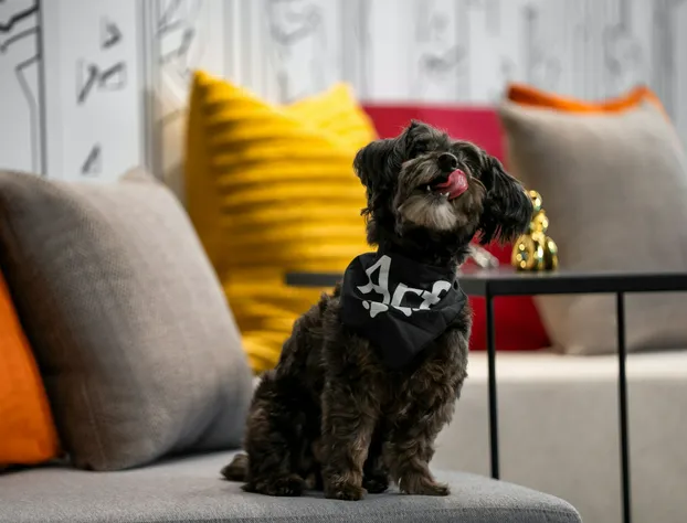 Aloft New York Chelsea hotel detail image 4