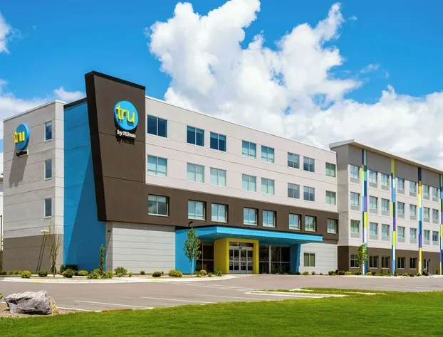 Tru By Hilton Wisconsin Dells hotel detail image 4