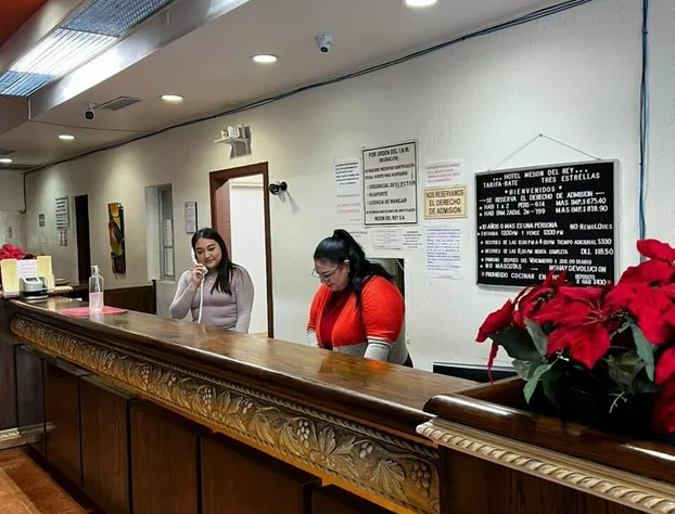 Meson Del Rey hotel detail image 2