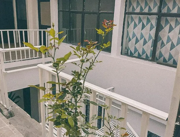 Hostel Casa Maguey hotel detail image 3