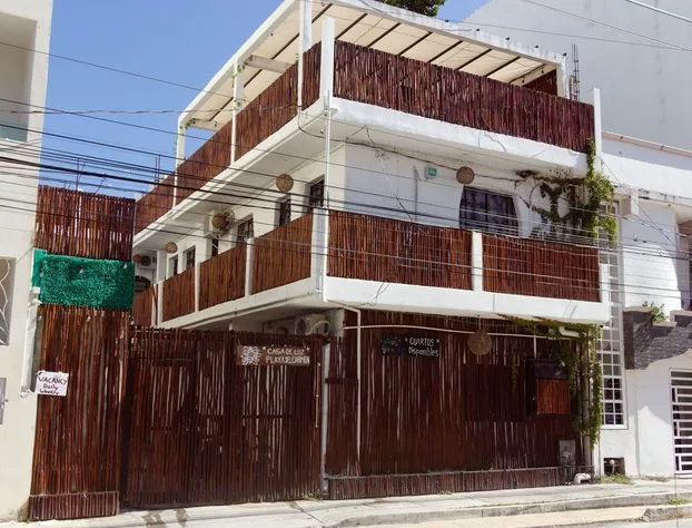 Casa de Luz Playa del Carmen hotel detail image 1