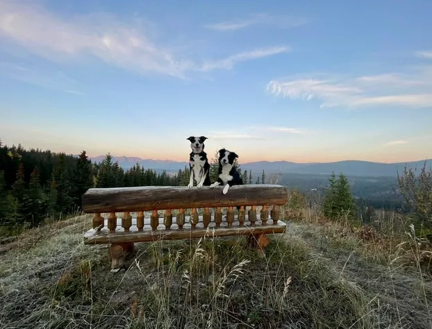 RockyMountainView BnB hotel detail image 2