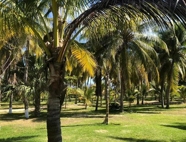 Casa Kundavi hotel detail image 2