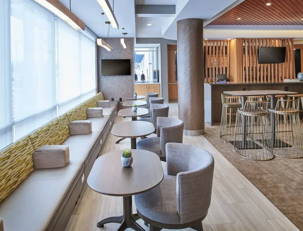 SpringHill Suites by Marriott Detroit Dearborn hotel detail image 3