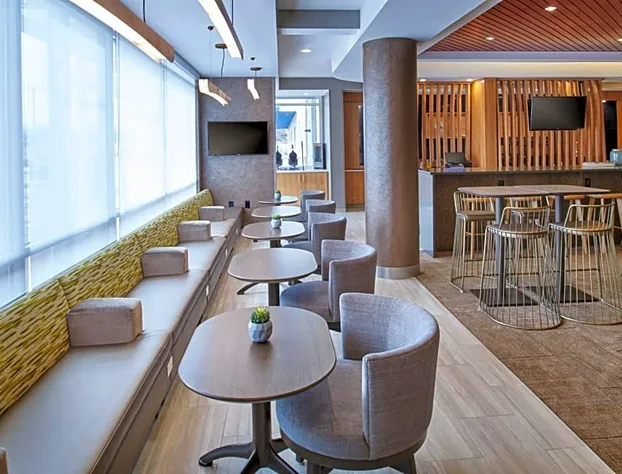 SpringHill Suites by Marriott Detroit Dearborn hotel detail image 4