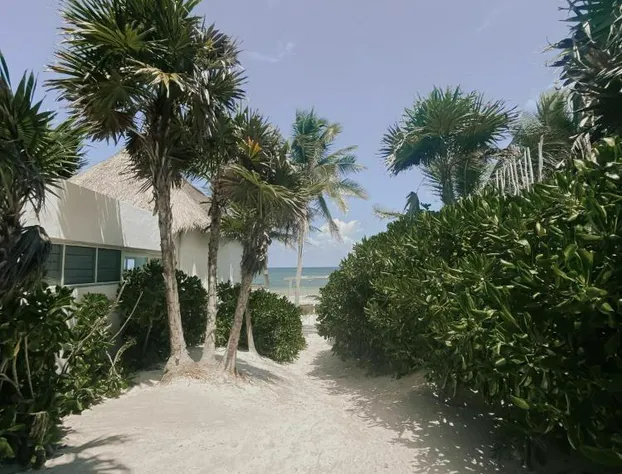 Tuup Tulum hotel detail image 2