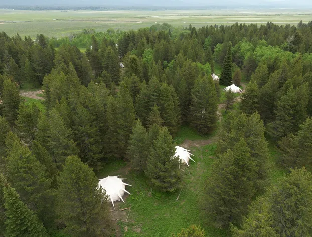 Starlight Retreat Yellowstone hotel detail image 2
