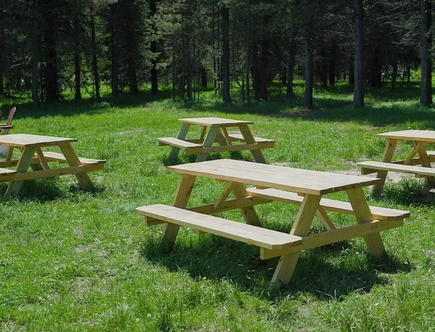 Starlight Retreat Yellowstone hotel detail image 3