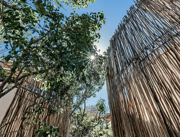 Rubi Tulum hotel detail image 4