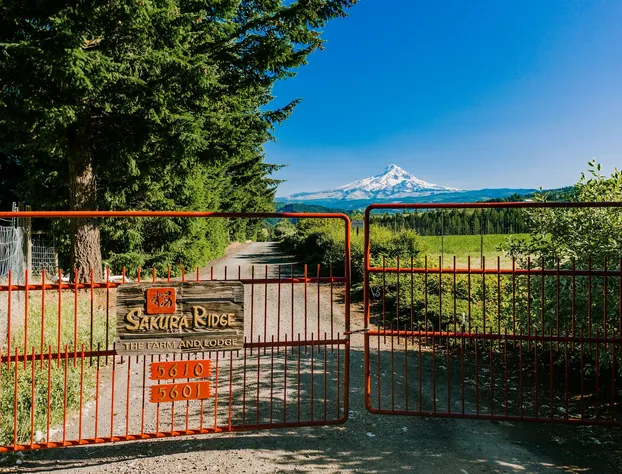 Sakura Ridge hotel detail image 3