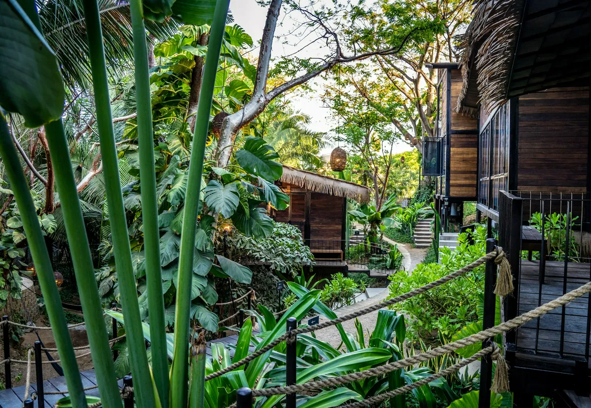 Casa Selva Sayulita hotel hero