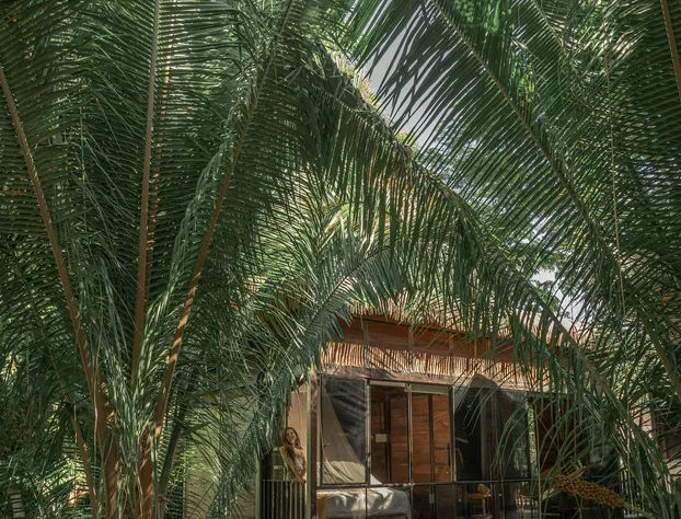 Casa Selva Sayulita hotel detail image 4