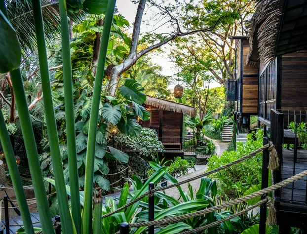 Casa Selva Sayulita hotel detail image 1