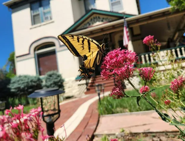 Downen House Bed & Breakfast hotel detail image 2