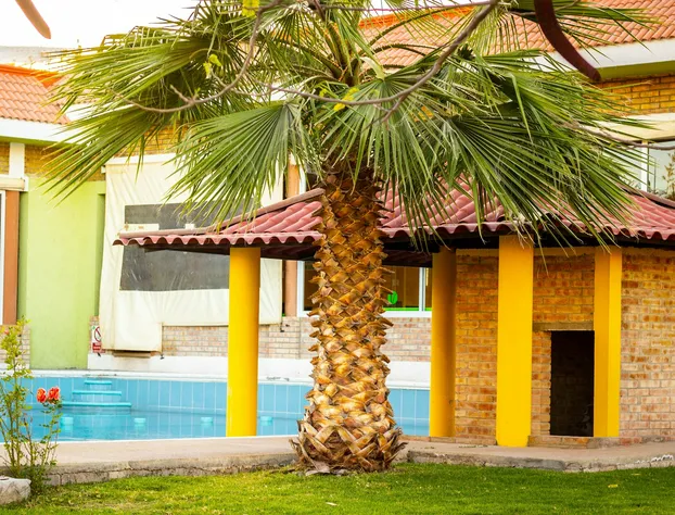 Villa Jardines hotel detail image 3