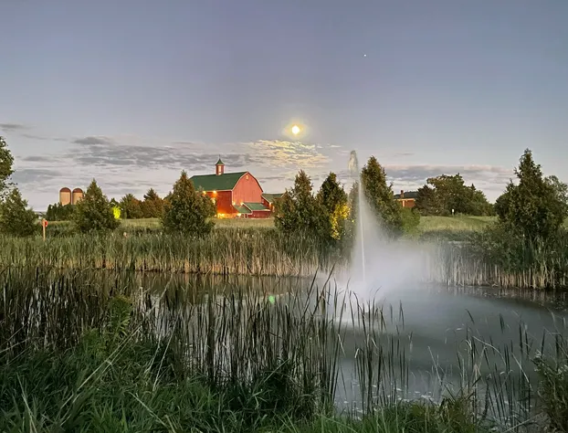 The Eddie Hotel and Farm hotel detail image 3