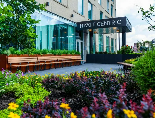 Hyatt Centric Montréal hotel detail image 4