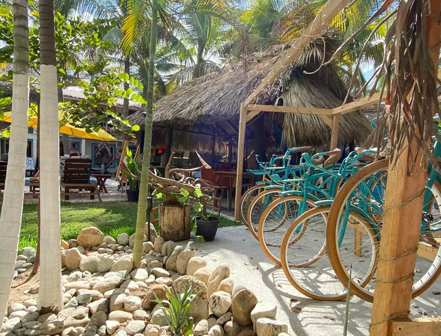 Fridas Paradise hotel detail image 2