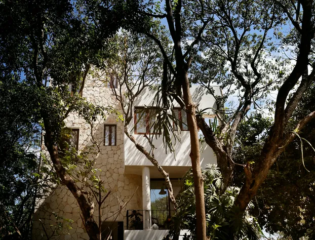 Hotel La Semilla, Playa del Carmen, a Member of Design Hotels - Adults Only hotel detail image 2